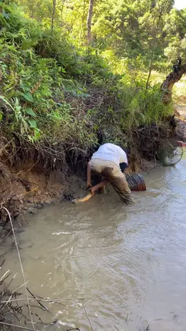 #แทนวันนี้ 🐋🐋