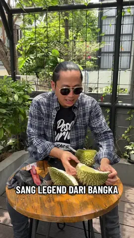 Kondisi Seger Tetap Strong Suguhan