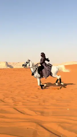 انطلاقه خفيفة ❤️😍 اذكرو الله ( ماشاء الله تبارك الله)  #خيل_وخياله🐎 #كشته_طلعه_بر_وناسه #اكسبلورexplore 