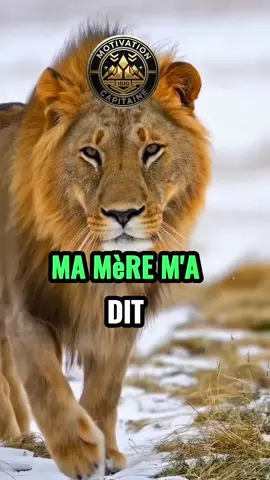 fait des efforts.Jusqu’à ce que même ceux qui ne t’aiment pas,soient obligés d’admettre que tu as réussi.#videoviral #motivation #conseil 