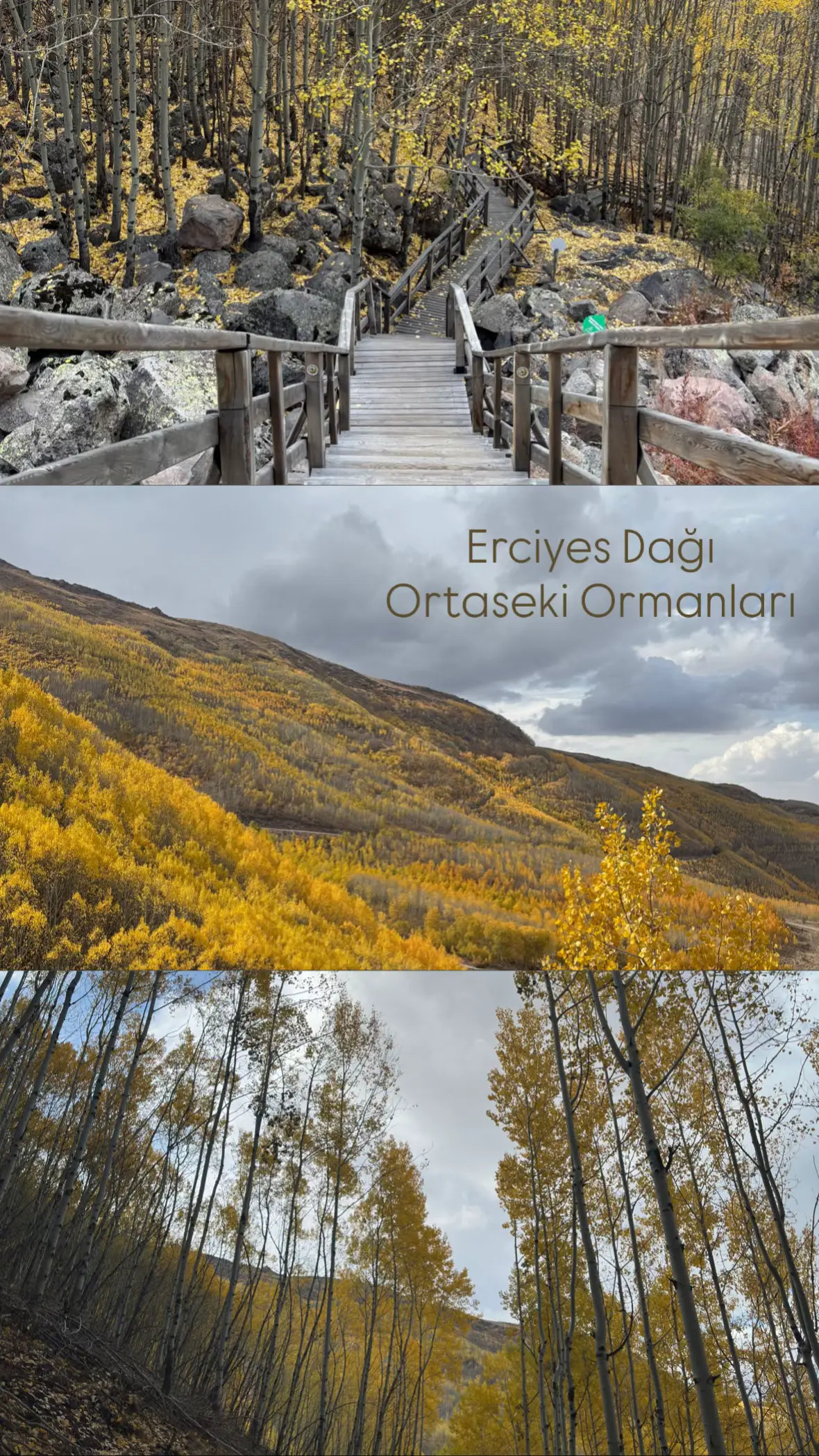 #ortasekiormanları #sonbahar #kayseri 