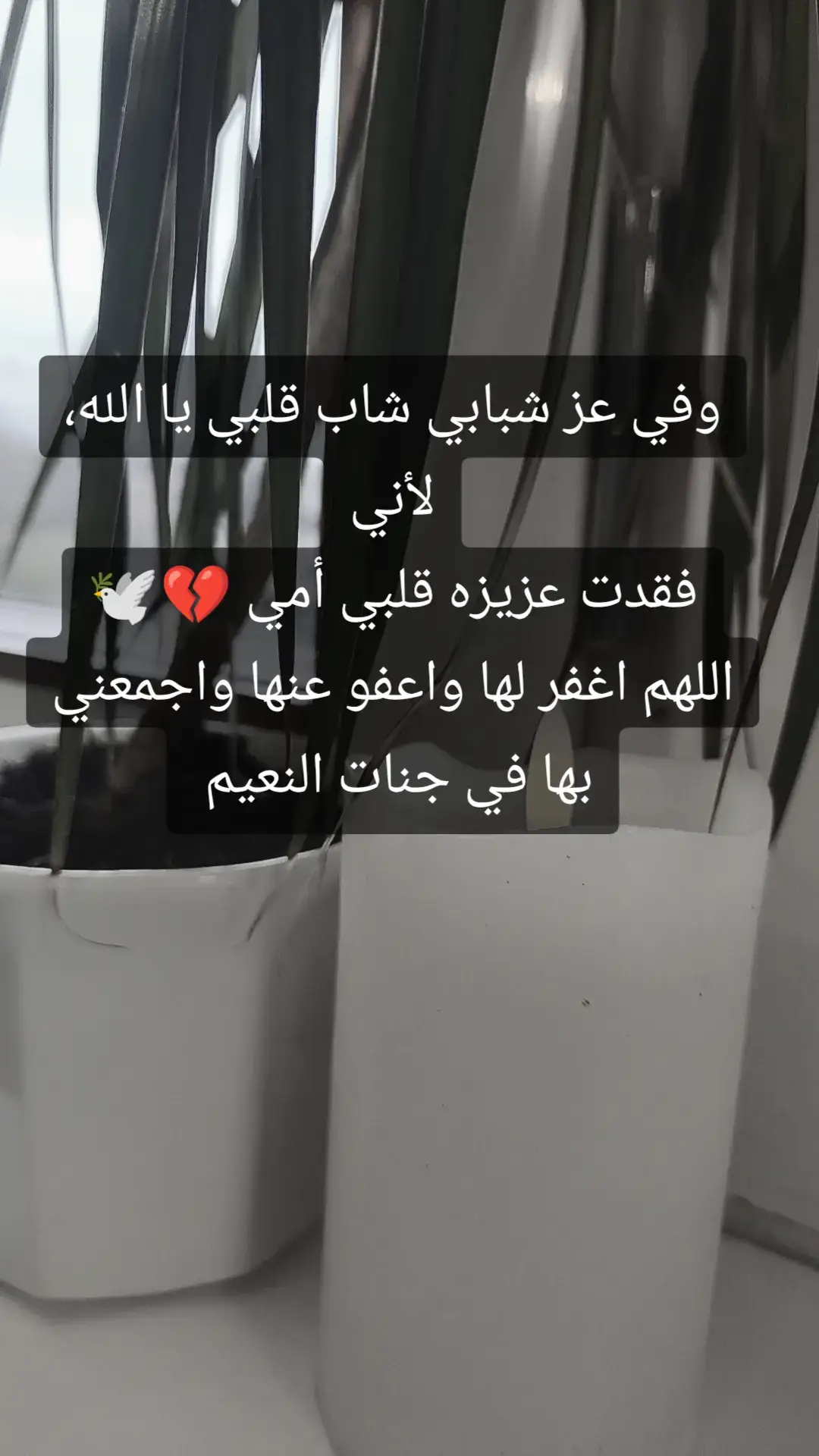 دعوه ل #امي_فقيدت_قلبي #امي #ام #الام #فقيدتي 