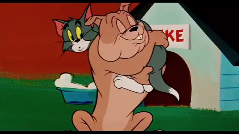 Tom and Jerry cartoon movie #fyp #capcut #cartoon #popular #viral 