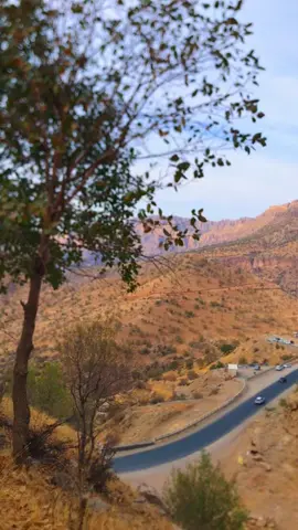 ئێوە تاڵیتان لە قاوە دیوە ئێمەش لە ژیان..🖤