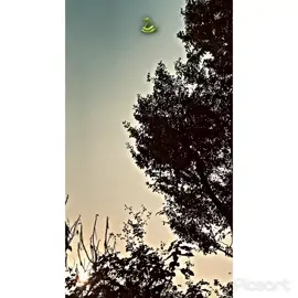 #Bilkol🐍☝🏻#fyp #100k #❤️سوہناپنجاب #پینڈاں_آل #viral #foryoupage 