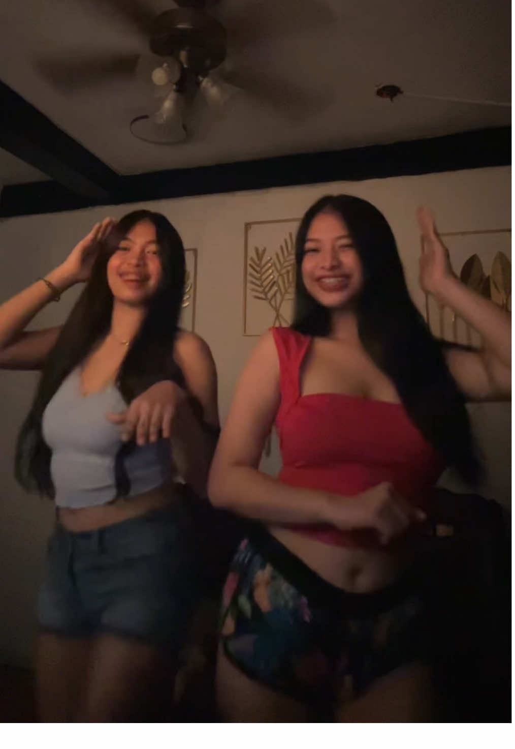 #pitbulldance #tiktokdance @alianamary_ 