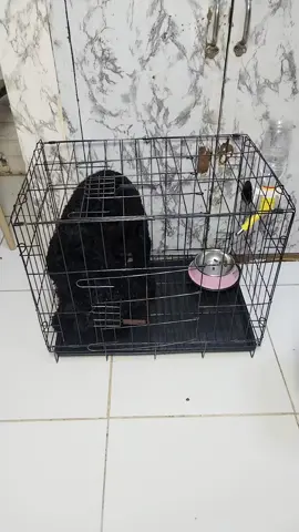 Foldable cage for dog and cat #catcage #dogcage #petlover #cage #highlights 