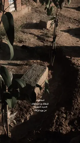 #امي #مقبره #فقيدي_اشتقت_ٳليك 