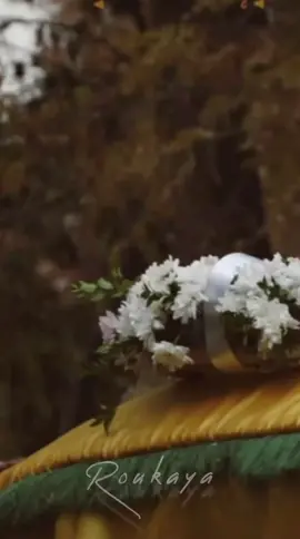 كِرام قدموا الأرواح #شهداء_على_طريق_القدس💛🙏 #شيعة_علي_الكرار #like#explore #بقاع 