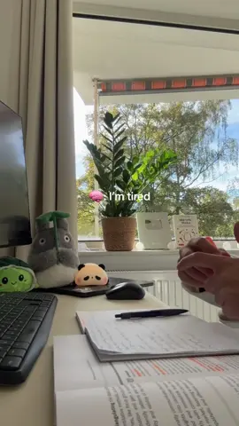 don’t give up #studytimelapsetiktok #studymotivationforstudents #studytok #studywithme 