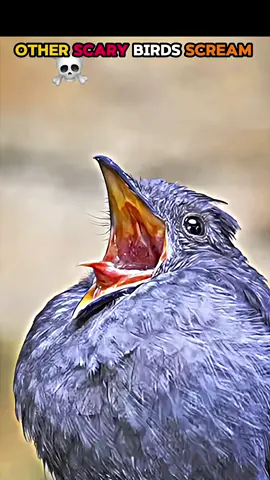 The Last one 💀#Empire_EDox #edits 