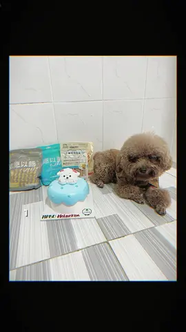 Happy Birthday Heineken 1 tuổi 🩵 #CapCut #tiktok #xuhuong #tiktokviral #poodle 