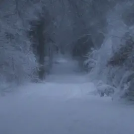 ходит легенда, что я вижу эти видео в реках каждый раз, так что я решил немного изменить #распять #lipsync #song #говновоз #aicover 
