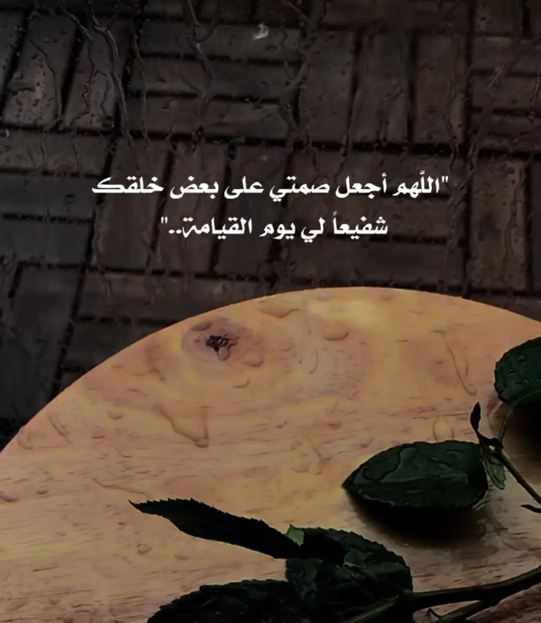 #اكسبلور 