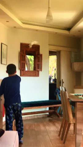 #sports #kids #foryou #raghebkal7 #lovebird 