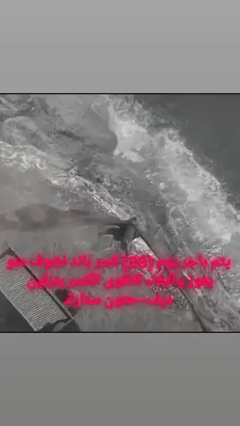 بكل ثقة ديف يفوز#وهمي #بلاكفاير #تيمات #تيمات_انستا #انستا 