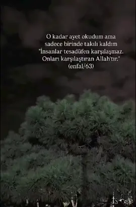 Bazı kavuşmalar planlı değildir.Tevafuktur tam kalbin ihtiyacı olduğu anda gelir. #kwsfet #KALP #soz#fyppppppppppppppppppppppp 