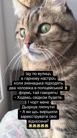 котячийгумор #смішнікоти #котикисмішні #жартикотів #котячіжарти #смішнікотики     