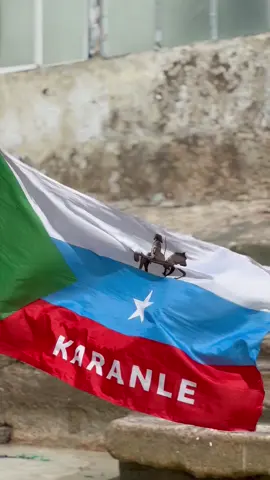 31 October meqaa kadhiman ❤️🇵🇷#murusadenimo🐎🇵🇷 #murusade #somalitiktok #foryou @Y͜͡c͜͡c͜͡c͜͡ 👉🏾🤘🏾🇸🇴🇵🇷 @Maserleyy 🫅🏻🇸🇴 @ŇǍŇǍǏ:♾️🇧🇷 