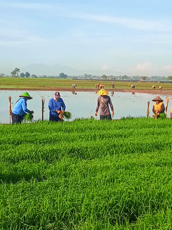 #fyppppppppppppppppppppppp 