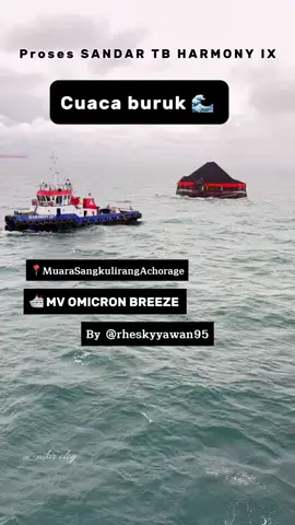 Proses Sandar TB HARMONY IX DI MV OMICRON BREEZE 🛳️⚓️ #CapCut #Vassel #MuaraSangkulirangAnchorage #TukangParkirKapal #TBHARMONY 