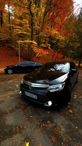 #camry55 #ls460 #autumn 
