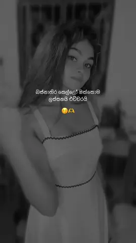 බස්නාහිර කෙල්ලෝ කො බලන්න 🫡#ecko_page #like #noize_music #yoooooooooooooooooooooooooooooooooo #panadura 