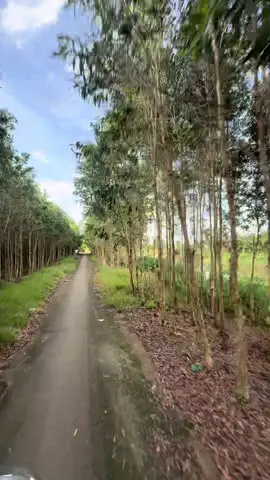 miền tây bao nhiu niềm nhớ