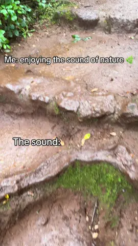 Madeira is beautiful and the hikes can be really breathtaking 😄 #travelmadeira #madeira #hikingmadeira 