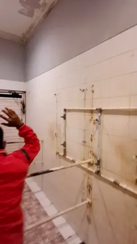 Tetap semngat dan OPTIMIS 🔥🔥 #ayampetelur #katamotivasi #peternakan #fyppppppppppppppppppppppp 