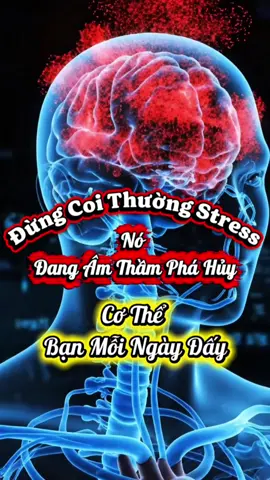 Đừng Coi Thường Stress, Nó Đang Âm Thầm Phá Hủy, Cơ Thể Bạn Mỗi Ngày Đấy #Stress #SứcKhỏeTâmLý #Cortisol #TựChữaLành #GiảmStress 