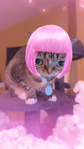 Son I love you so much 