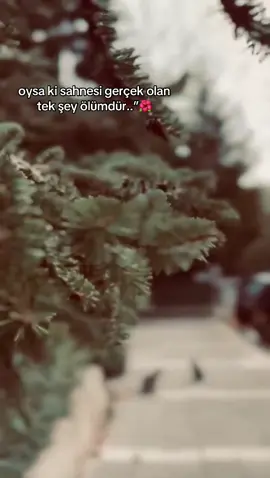 #kesfeteyizzzzzzzzzz #sıtorilikvidyo📌 #🌺💐💐🌺 