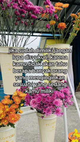 #fypシ゚ #beranda #tiktokviral #bersyukur #promo 