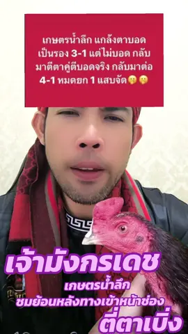 เจ้ามังกรเดช#เจ้ามังกรเดช#เกษตรน้ำลึก#เจ้ากุมารจีน#กรีนสกรีน #ตี่ตาเบิ่งไก่ชน 
