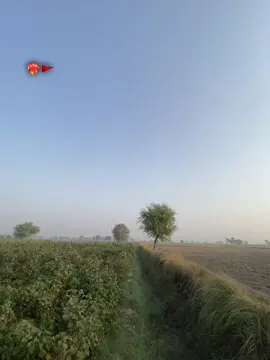 Khandani Log❤️‍🔥⚜️🚩#forming🌾 #forourpage #foryoupage #viralvideotiktok 