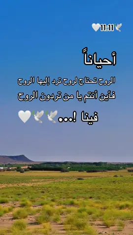 أين أنتم .. 🥹🕊️🕊️🕊️🕊️🕊️🕊️🕊️🕊️🤍 #🌹🌹🌹🌹🌹🌹🌹🌹🌹🌹🌹🌹 #الحب #حبيبي #احبكم  #المشكى_على_الله                                         