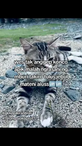 #xyzbca #masukberandafyp #katakatanyindir #fyppppppppppppppppppppppp #bismillahfyp 