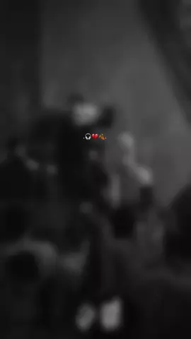 هاذه الكلب المن يدگ #سيد_فاقد_الموسوي #tiktok #explore #fyp 