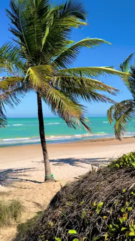 #dunasdemarape #alagoas #brasil