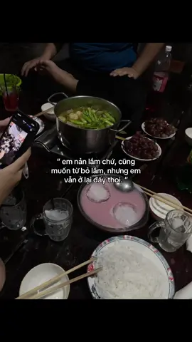 #xuhuongtiktok #ilovetiktok #viral #fypシ #meo 