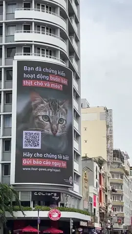 Một hành động nhỏ – cứu một mạng sống. Cùng FOUR PAWS lan tỏa lòng nhân ái. https://dogcatmeat.four-paws.org.vn/ #FourPaws #YêuĐộngVật #baovedongvat #hanhdongngay 