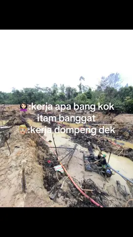 #tambangemas #tambangemaskalimantan #