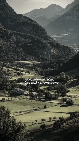 Mẫu #CapCut | Đi Cùng Em Cover. TMT Guitar | #zenith #dicungem #capcutpioneer #pioneertemplate 