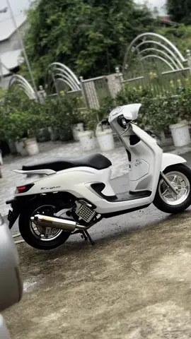 Habis Mandi🥶 #stylo #stylomodifikasi #stylo160 #stylosquad #stylo160modifikasi 