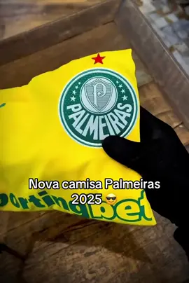 💚 É mais que um uniforme… é o MANTO que representa milhões! A nova Camisa 3 do Palmeiras 2025 tá simplesmente ABSURDA! 🤯 Quem é Verdão de verdade vai querer uma dessas pra ontem!  