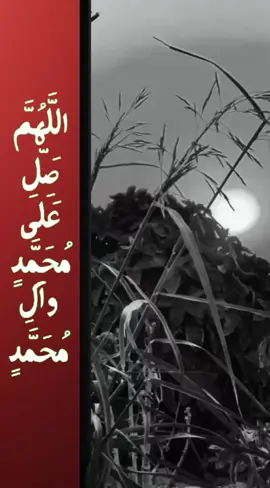 ألهي🤲 بمن أستغيث ان لم تقلني عثرتي ومن يرحمني 💔 ان لم ترحمني #fyp #العراق_بغداد #اكسبلورexplore #باسم_الكربلائي 