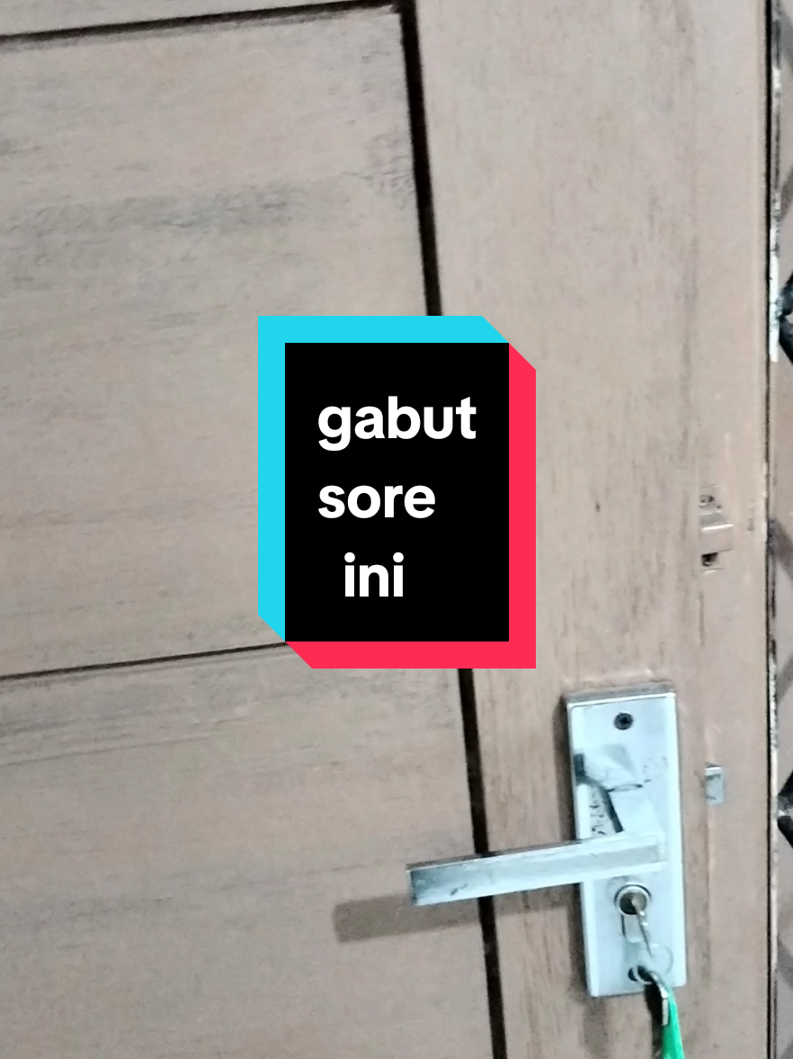 #creatorsearchinsights  #paketkucinggembul  #pastifyp 
