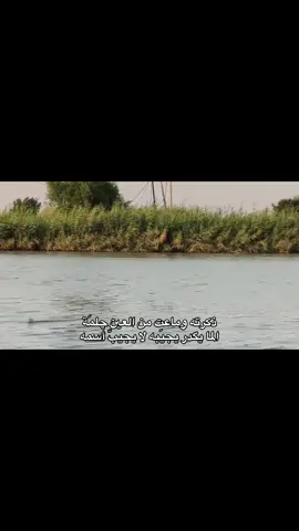 #عبارات #شعر #fyp #tunisia #شعب_الصيني_ماله_حل😂😂 