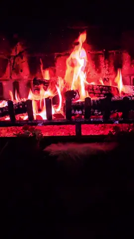 ياس خضر#لو ليلي ليلك#tiktok #explo #تصويري📷🇳🇴🇳🇴Norge #سوريا_الاردن_المانيا_هولندا_النمسا 